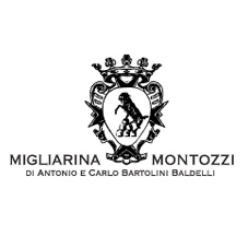 Presentazione nuovi vini Castello di Montozzi e Vinile Presentazione nuovi vini Castello di Montozzi e Vinile